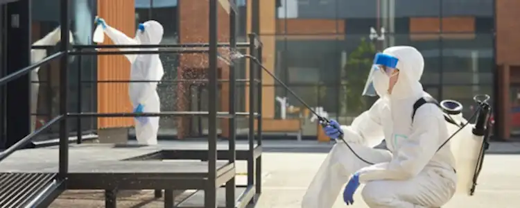 Workers Disinfecting Building