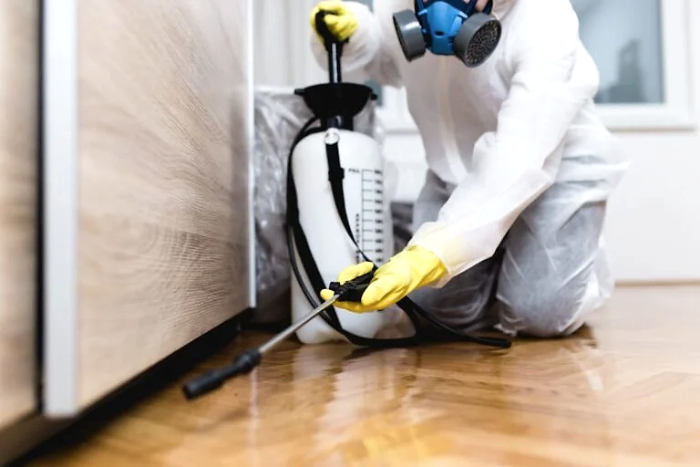 Pest-Control1