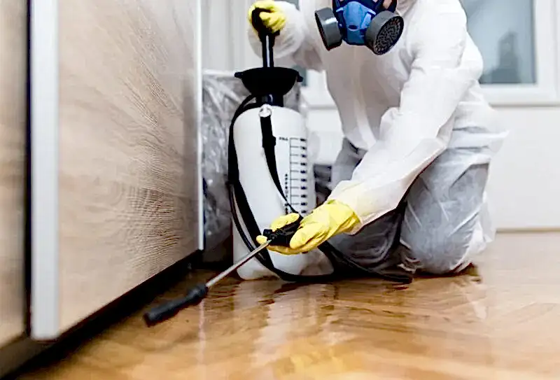 Pest-Control1